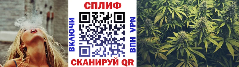 Виды наркоты Тында APVP Кокаин Меф мяу мяу Конопля